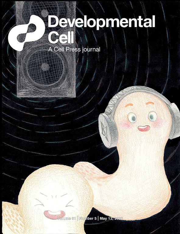 devcell2026.jpeg